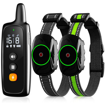 Dog Shock Collar for 2 Dogs